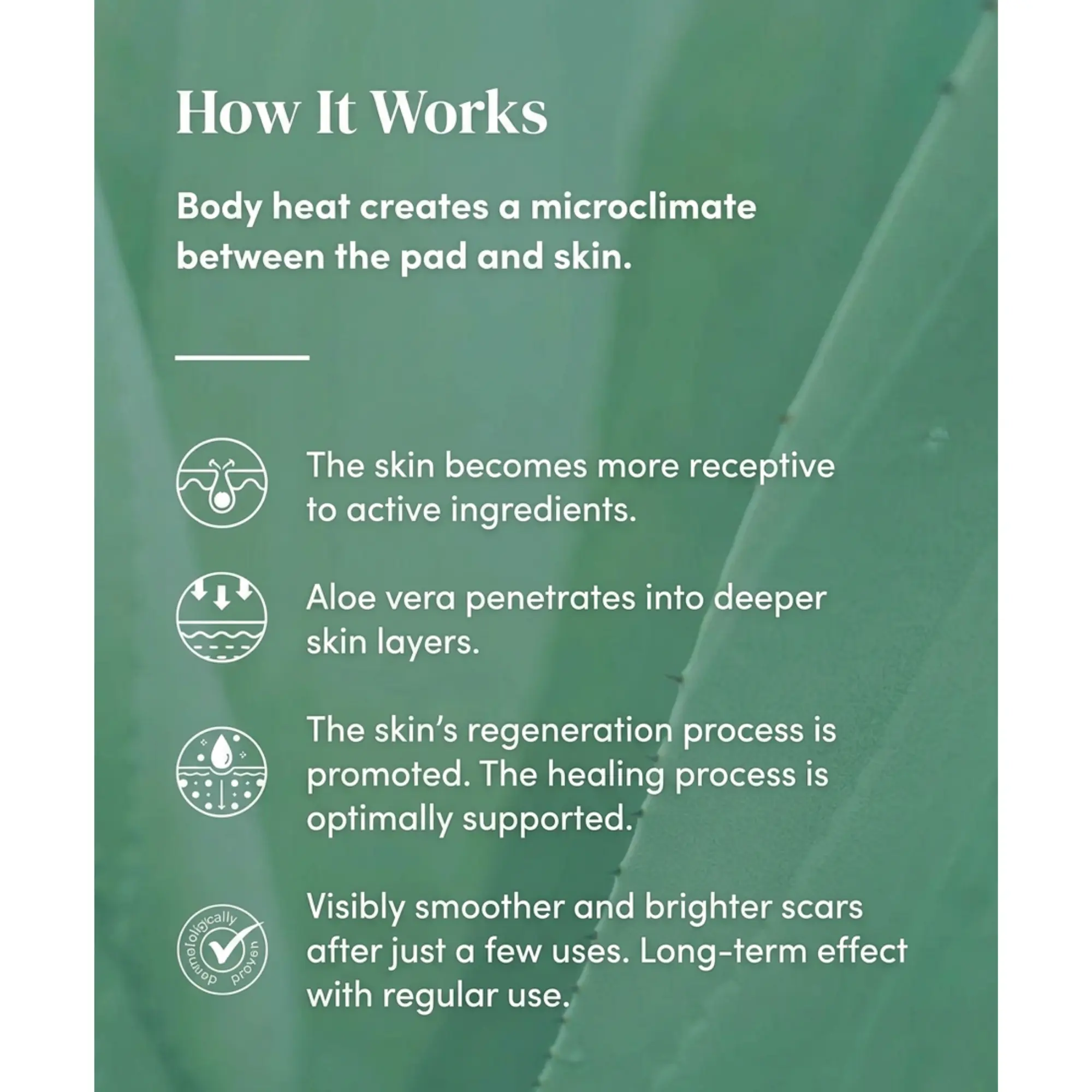 Scar Pads Aloe Vera - Image 4