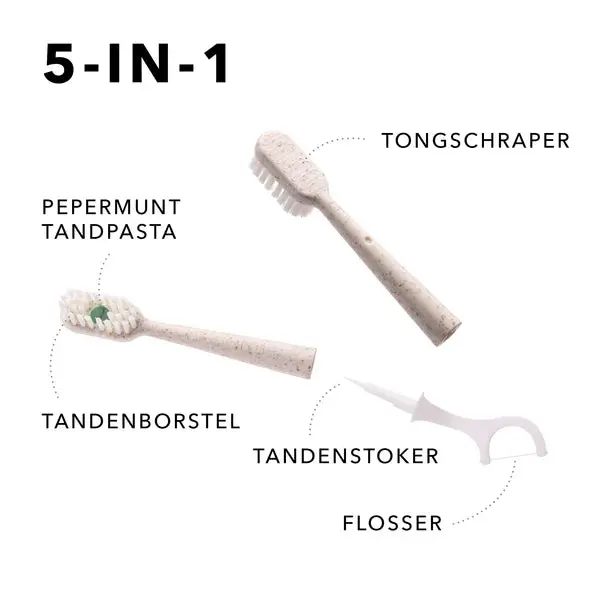 Miniatuur 2