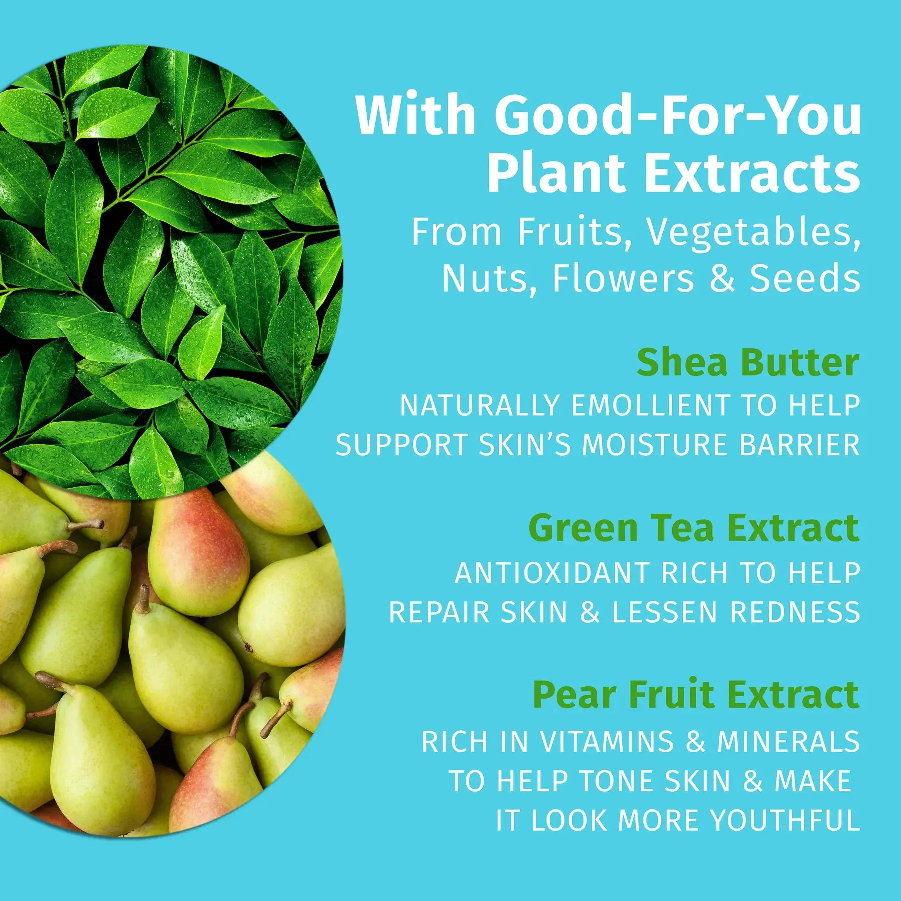 Exotic Green Tea & Asian Pear Herbal Body Moisturizer - Image 3