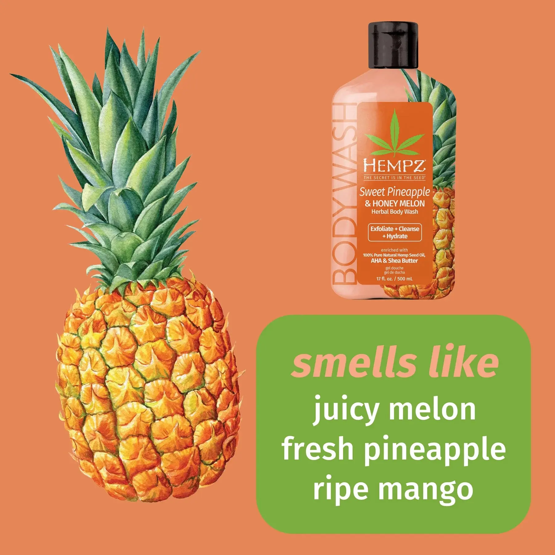 Sweet Pineapple & Honey Melon Herbal Body Wash - Image 2