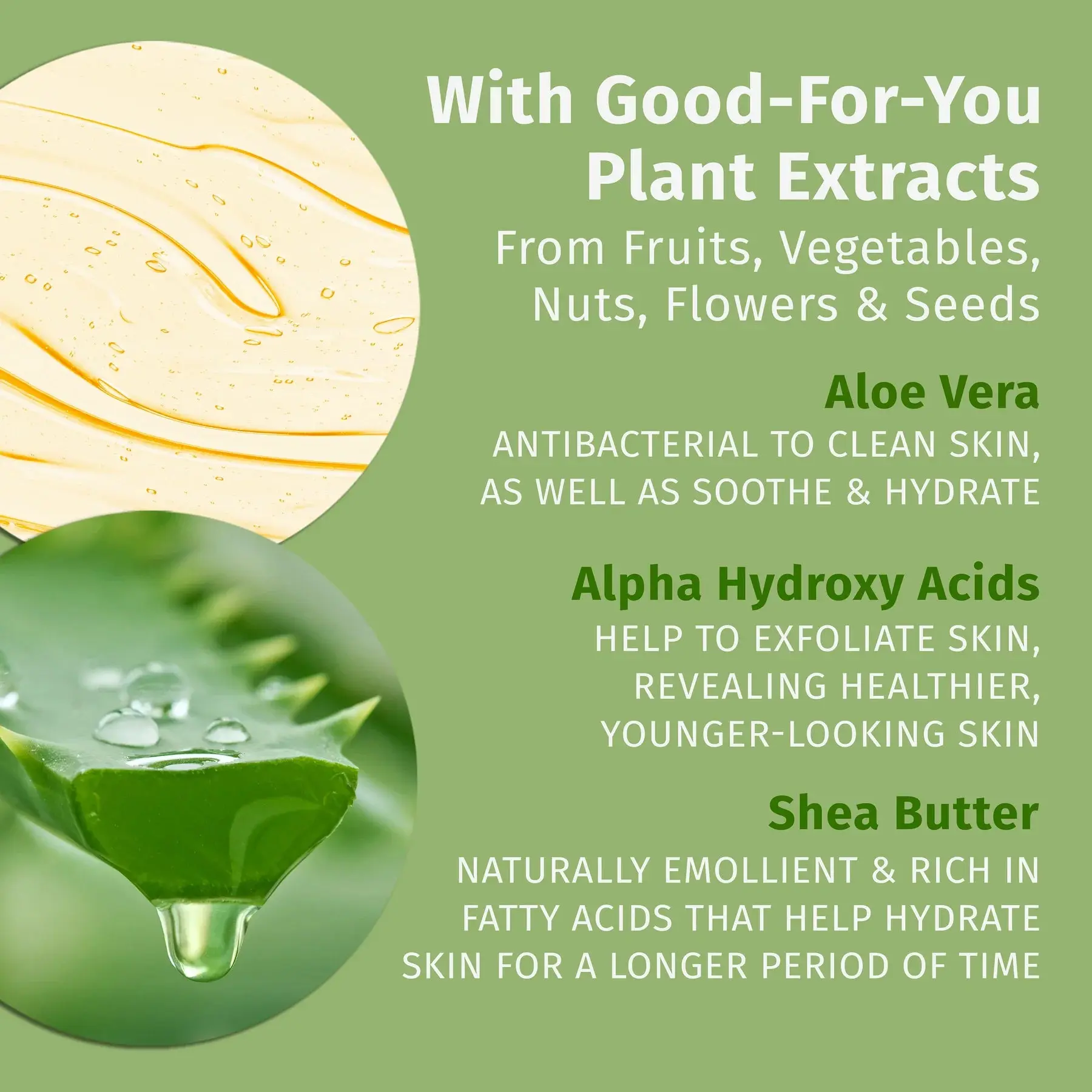 Sweet Pineapple & Honey Melon Herbal Body Wash - Image 3