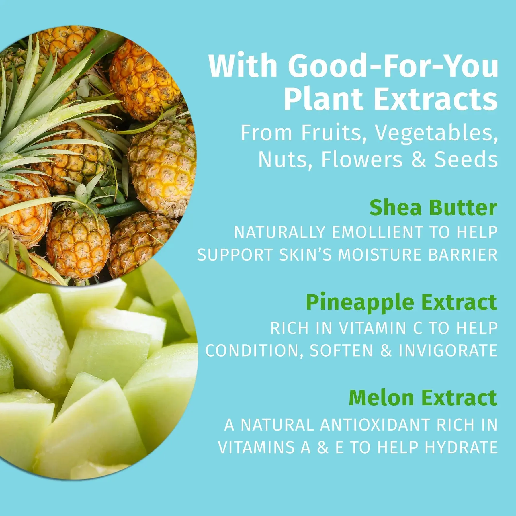 Travel-Size Sweet Pineapple & Honey Melon Herbal Body Moisturizer - Image 2
