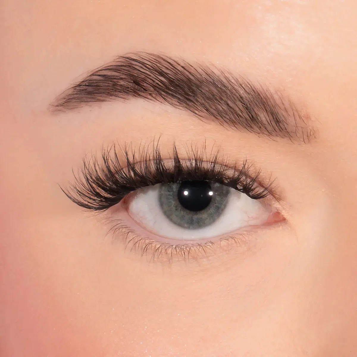 Bold Definition Pre Glued Lashes - Image 2