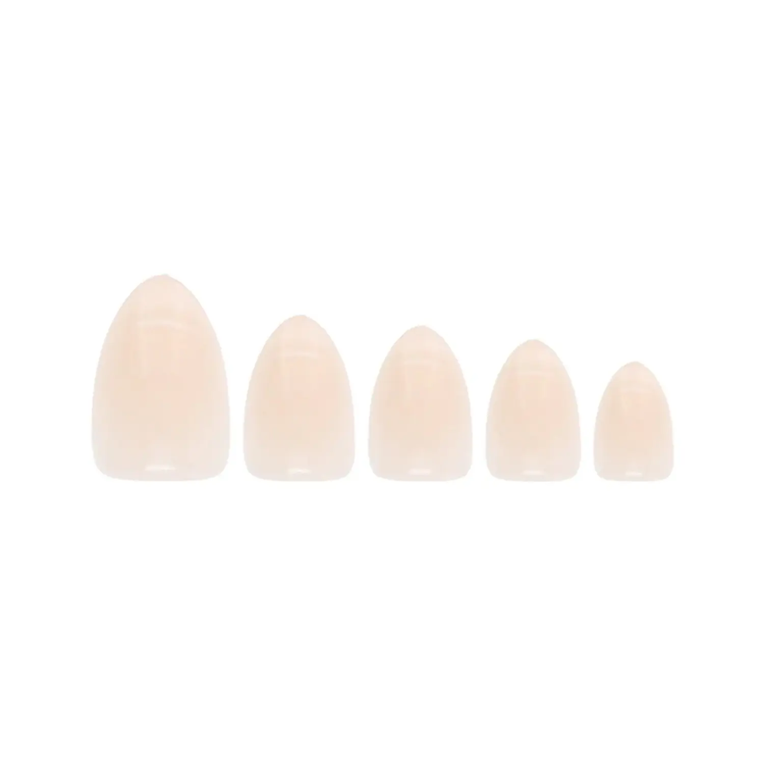 Glamorous Press-On Nails Champagne Fizz - Image 2